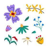 Set of bold trendy abstract flowers. Stylized bright decorative leaves, blossoms and branches in minimalist style. Hand drawn whimsical vector