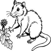 Opossum line art on white background. Animal coloring pages. opossum silhouette vector