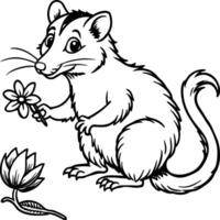 Opossum line art on white background. Animal coloring pages. opossum silhouette vector