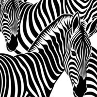 cebra, minimalista y sencillo silueta ilustración. animal grabado en linóleo vector