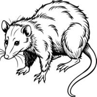 Opossum line art on white background. Animal coloring pages. opossum silhouette vector