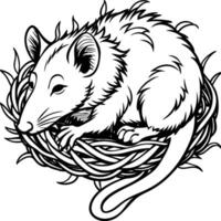 Opossum line art on white background. Animal coloring pages. opossum silhouette vector