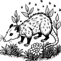 Opossum line art on white background. Animal coloring pages. opossum silhouette vector