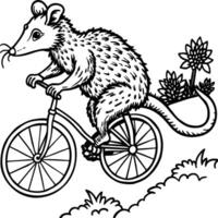 Opossum line art on white background. Animal coloring pages. opossum silhouette vector