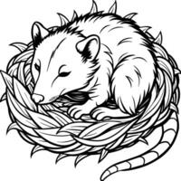 Opossum line art on white background. Animal coloring pages. opossum silhouette vector