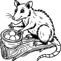 Opossum line art on white background. Animal coloring pages. opossum silhouette vector