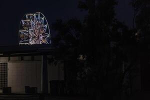 Illuminated Ferris Wheel at Night photo