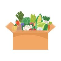 A cardboard box containing many different vegetables on a white background. illustration concept of delivery vector