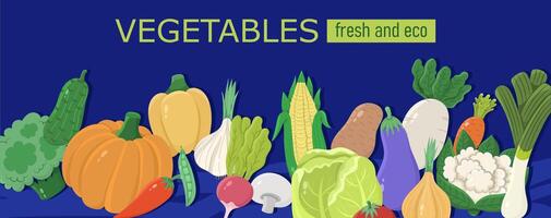 Banner with different vegetables or poster design.llustration vector