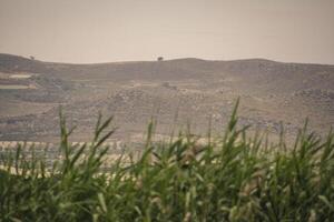 Sicilian rural panorama 5 photo