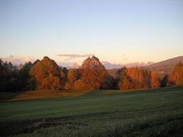 Garden in the dolomites at sunset 7 photo