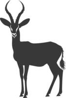 Silhouette impala animal full body black color only vector