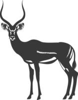 Silhouette impala animal full body black color only vector