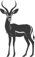 Silhouette impala animal full body black color only vector