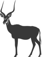 Silhouette impala animal full body black color only vector