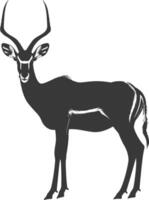 Silhouette impala animal full body black color only vector