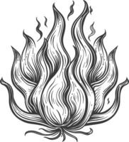Fire flame full with engraving style black color only vector