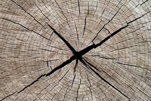 grieta en el madera de cerca, fondo, textura foto
