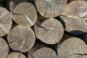 Stacked firewoods as texture, background photo