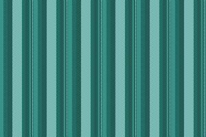Vertical pattern fabric of texture background textile with a lines seamless stripe. vector