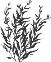 silueta algas marinas planta negro color solamente vector