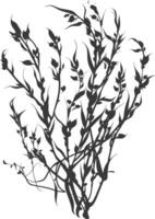 Silhouette seaweed plant black color only vector