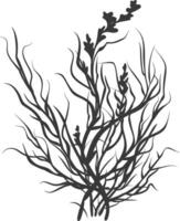 Silhouette seaweed plant black color only vector