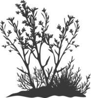 Silhouette seaweed plant black color only vector