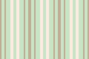 Fabric seamless background of lines textile with a texture vertical pattern stripe. vector