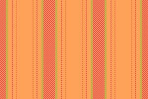 Pattern lines seamless of fabric stripe textile with a texture background vertical. vector