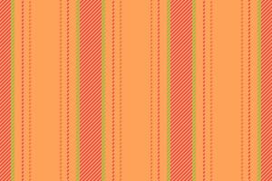 Pattern lines seamless of fabric stripe textile with a texture background vertical. vector