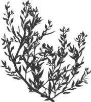 Silhouette seaweed plant black color only vector