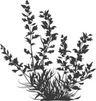 Silhouette seaweed plant black color only vector