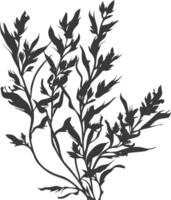 Silhouette seaweed plant black color only vector