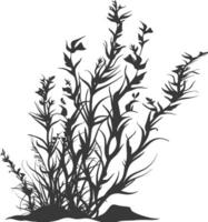 Silhouette seaweed plant black color only vector