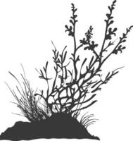 Silhouette seaweed plant black color only vector