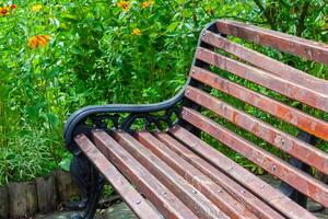 Wooden bench in a Park photo