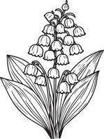 Lily of the Valley flower art, illustration of a font view Lily of the Valley flower in hand-drawn botanical summer elements natural collection, Lily of the Valley line art for coloring page vector