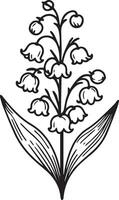 lirio de el Valle arte, monocromo floral ilustración. tinta ilustración mano dibujado lápiz bosquejo, un rama de botánico colección sencillez, artístico, colorante libro para niños vector