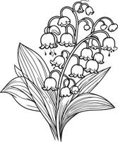 Delicate Lily of the Valley tattoo. Lily of the Valley illustration, beautiful Lily of the Valley flower bouquet, hand-drawn coloring pages, and book of artistic, blossom Lily of the Valley vector