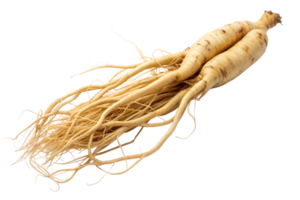 Two ginseng roots with detailed fibers on a transparent background, showcasing texture and color png