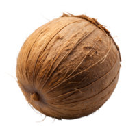Detailed close-up of a single coconut png