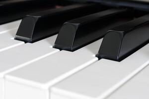 Piano keys close-up photo