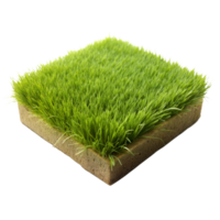 A high-quality, detailed view of an artificial grass square with a transparent background png