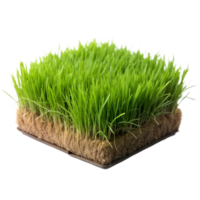 A small, square section of vibrant green grass showing detailed roots and soil, isolated on a transparent background png