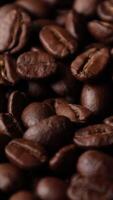 Closeup of brown roasted coffee beans, dark of bean, macro of bean, closeup of a bean video