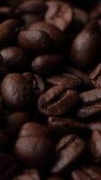 Closeup of brown roasted coffee beans, dark of bean, macro of bean, closeup of a bean video