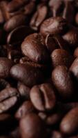 Closeup of brown roasted coffee beans, dark of bean, macro of bean, closeup of a bean video