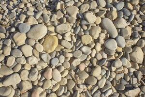 Texture of white pebbles photo