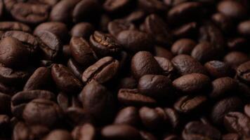 Closeup of brown roasted coffee beans, dark of bean, macro of bean, closeup of a bean video